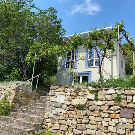 Weinbergshaus Mit Blick Auf'S Wasser Salzatal ภายนอก รูปภาพ