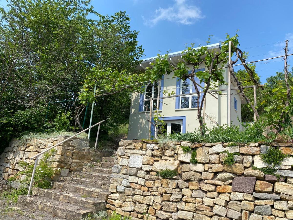 Weinbergshaus Mit Blick Auf'S Wasser Salzatal ภายนอก รูปภาพ